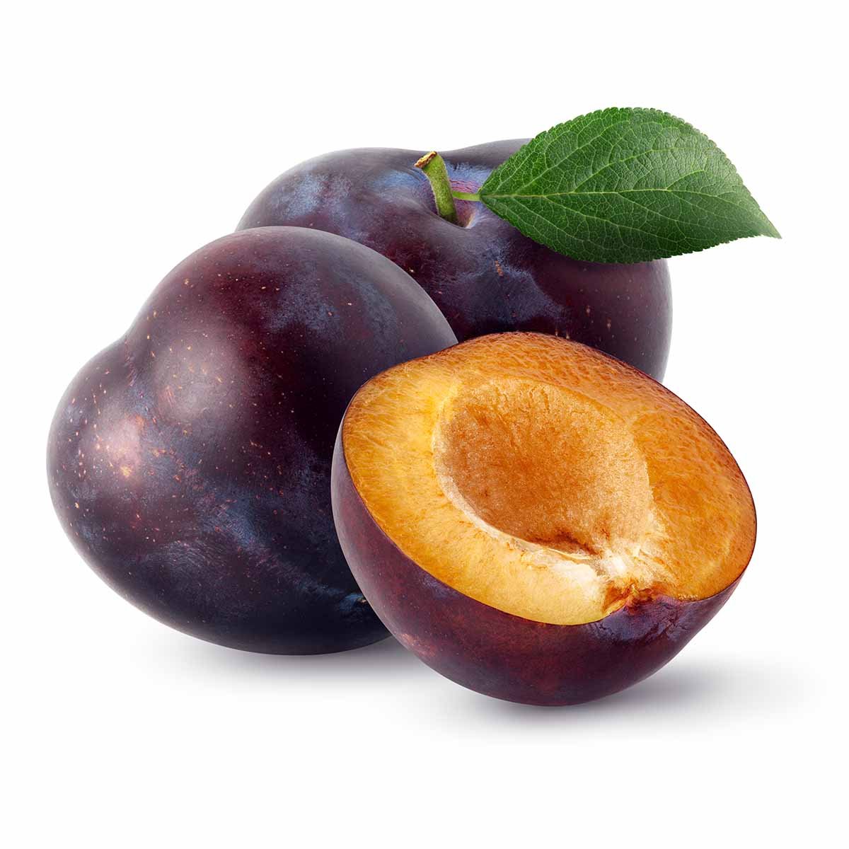 Слива